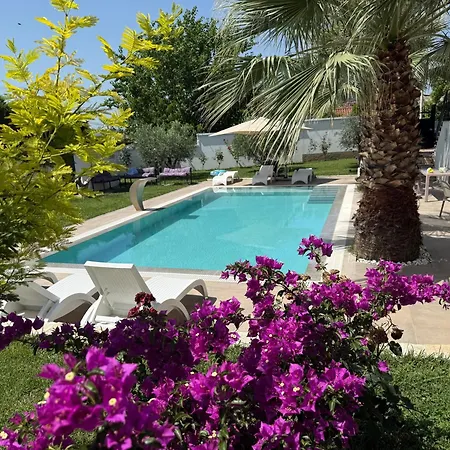 Salo Villa *